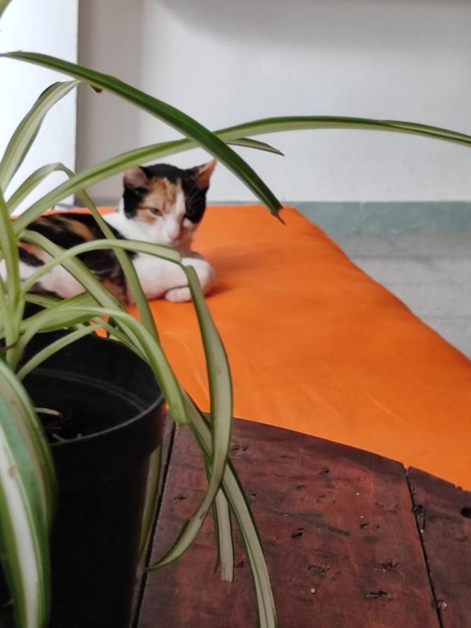 מדיין Serrania Hostal מראה חיצוני תמונה